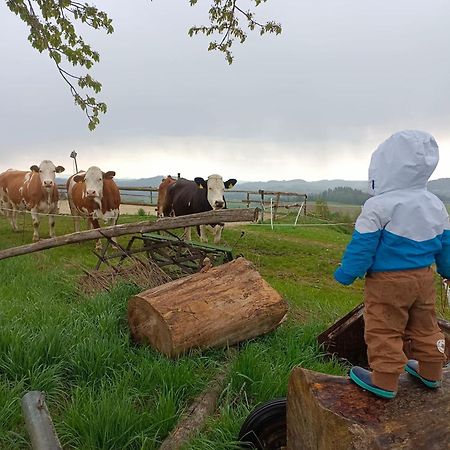 Ferienwohnung Im Muehlviertler Panorama Vierseithof Lembach im Mühlkreis エクステリア 写真