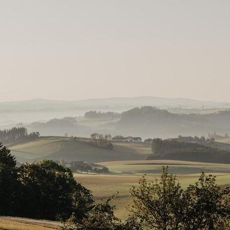 Ferienwohnung Im Muehlviertler Panorama Vierseithof Lembach im Mühlkreis エクステリア 写真