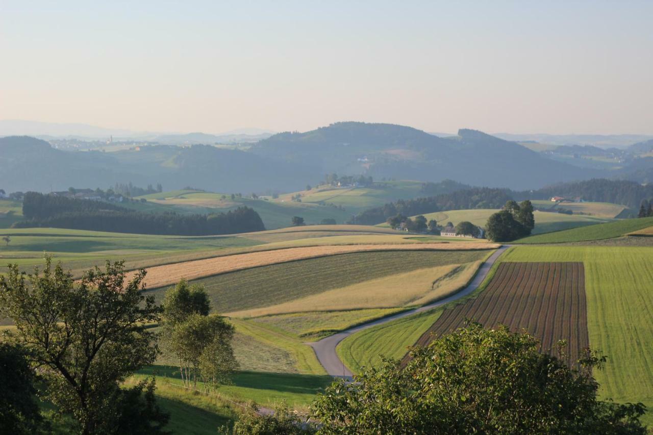 Ferienwohnung Im Muehlviertler Panorama Vierseithof Lembach im Mühlkreis エクステリア 写真