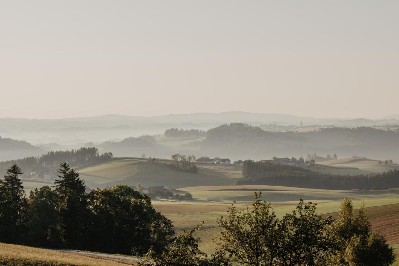 Ferienwohnung Im Muehlviertler Panorama Vierseithof Lembach im Mühlkreis エクステリア 写真
