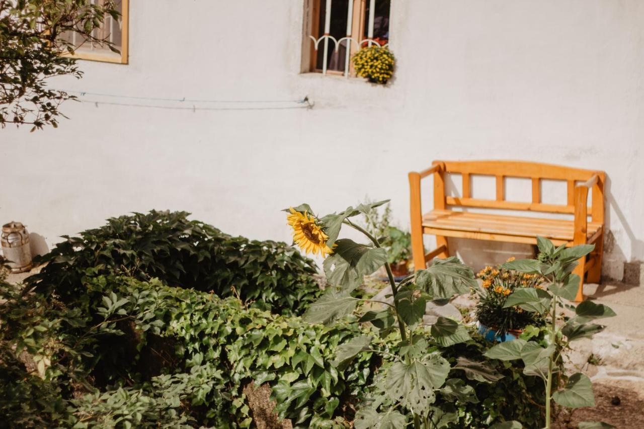 Ferienwohnung Im Muehlviertler Panorama Vierseithof Lembach im Mühlkreis エクステリア 写真